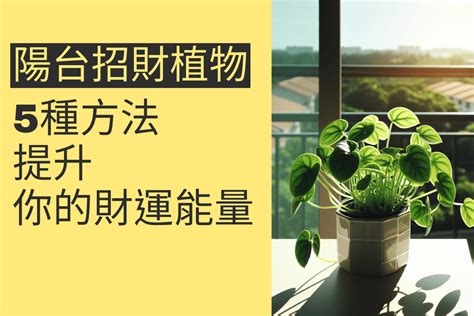 前陽台招財|前陽台招財植物大全！15 種適合陽台的植物助你財源。